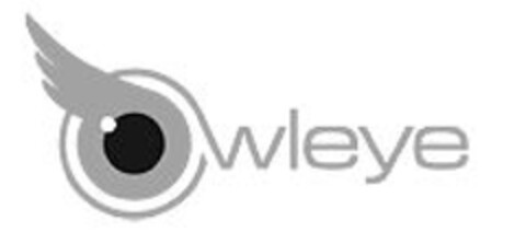 Owleye Logo (EUIPO, 15.04.2011)