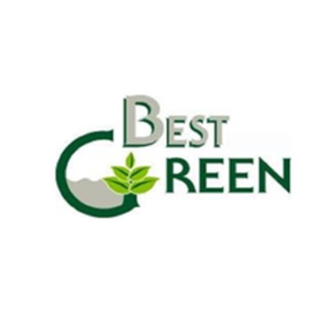 BEST GREEN Logo (EUIPO, 16.06.2017)