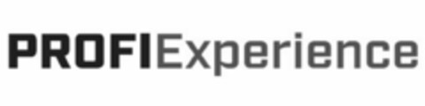 PROFIEXPERIENCE Logo (EUIPO, 05/17/2022)