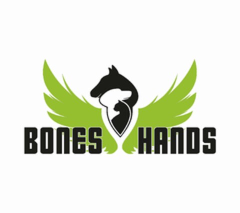 BONES HANDS Logo (EUIPO, 14.06.2023)