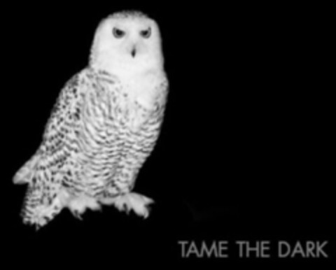 TAME THE DARK Logo (EUIPO, 11/20/2007)