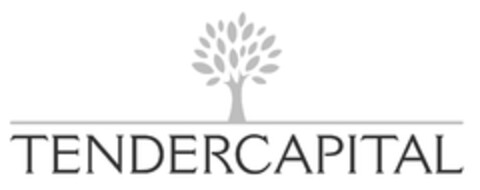 Tendercapital Logo (EUIPO, 14.03.2012)