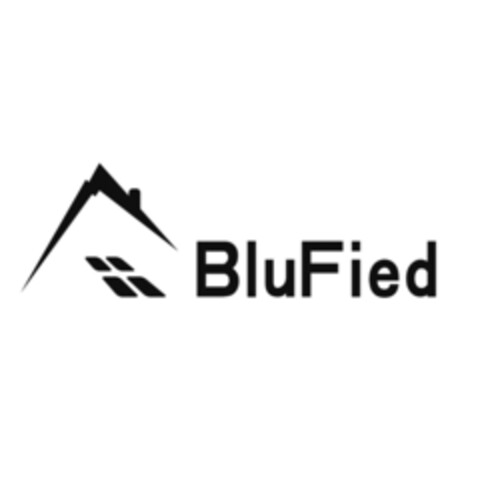 BluFied Logo (EUIPO, 05/25/2017)