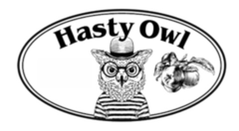 Hasty Owl Logo (EUIPO, 08.06.2017)