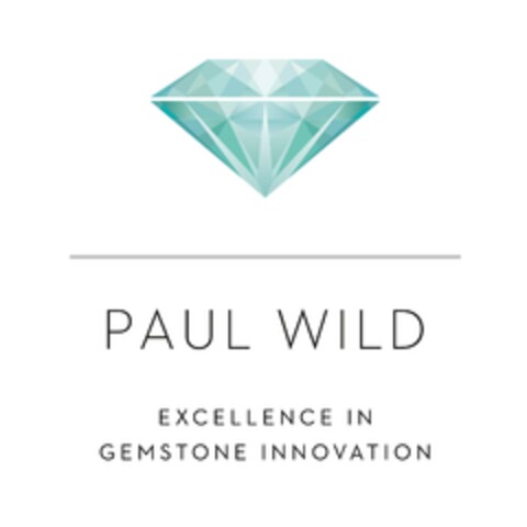 PAUL WILD EXCELLENCE IN GEMSTONE INNOVATION Logo (EUIPO, 27.06.2023)