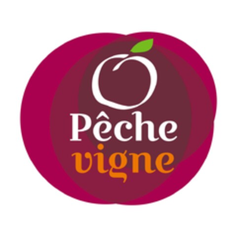 Pêche vigne Logo (EUIPO, 24.04.2024)