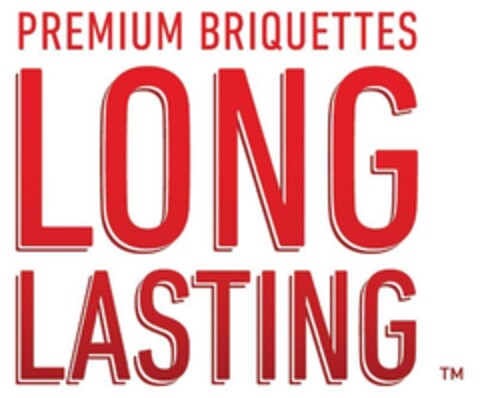 Premium Briquettes LONG LASTING Logo (EUIPO, 13.01.2011)