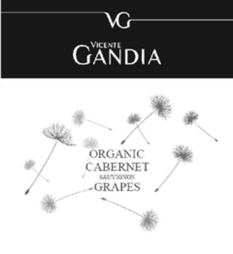 VG VICENTE GANDIA ORGANIC CABERNET SAUVIGNON GRAPES Logo (EUIPO, 05/10/2011)