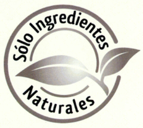 Sólo Ingredientes Naturales Logo (EUIPO, 19.09.2011)