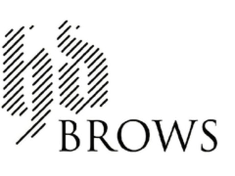 hd BROWS Logo (EUIPO, 03/27/2013)