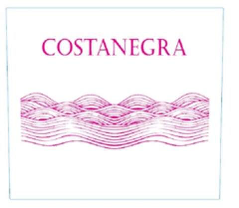 COSTANEGRA Logo (EUIPO, 27.05.2013)