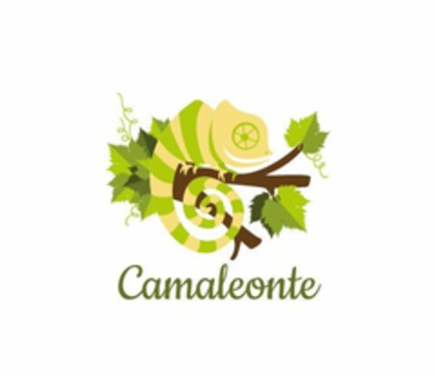 CAMALEONTE Logo (EUIPO, 24.05.2017)