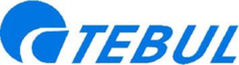 TEBUL Logo (EUIPO, 08/28/2009)