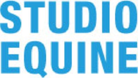 STUDIO EQUINE Logo (EUIPO, 21.05.2012)