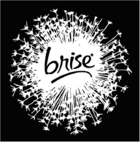 BRISE Logo (EUIPO, 10/17/2011)