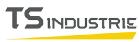 TS INDUSTRIE Logo (EUIPO, 13.07.2016)