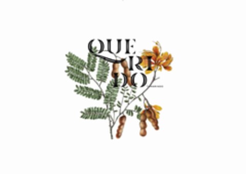 QUERIDO TAMARINDO Logo (EUIPO, 11.02.2020)