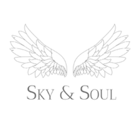 SKY & SOUL Logo (EUIPO, 06.12.2021)