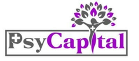 PSYCAPITAL Logo (EUIPO, 08/02/2023)