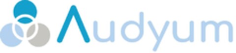 Audyum Logo (EUIPO, 01.05.2024)