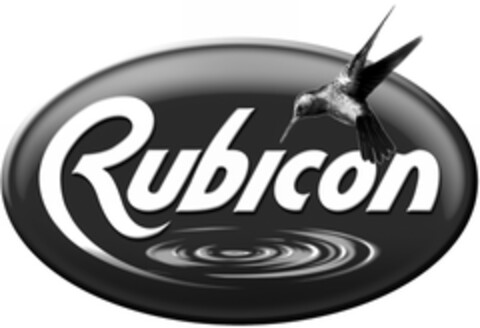 Rubicon Logo (EUIPO, 10.11.2007)