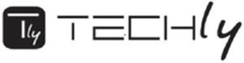 TLY TECHLY Logo (EUIPO, 20.06.2011)