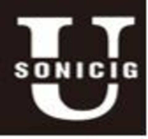 USONICIG Logo (EUIPO, 12/23/2016)