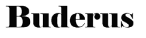 Buderus Logo (EUIPO, 30.11.2020)