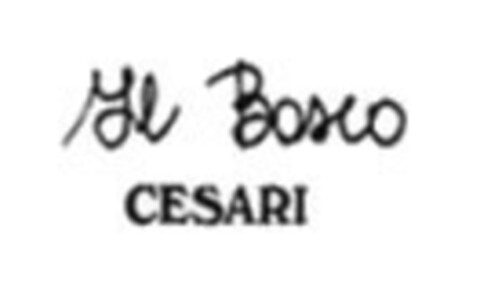 Il Bosco CESARI Logo (EUIPO, 06/29/2021)