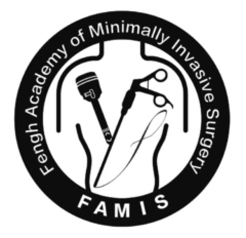 FENGH ACADEMY OF MINIMALLY INVASIVE SURGERY FAMIS Logo (EUIPO, 04.08.2021)