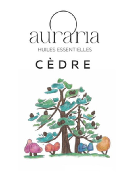 auraria HUILES ESSENTIELLES CÈDRE Logo (EUIPO, 14.05.2024)