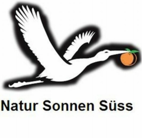 Natur Sonnen Süss Logo (EUIPO, 05/16/2016)