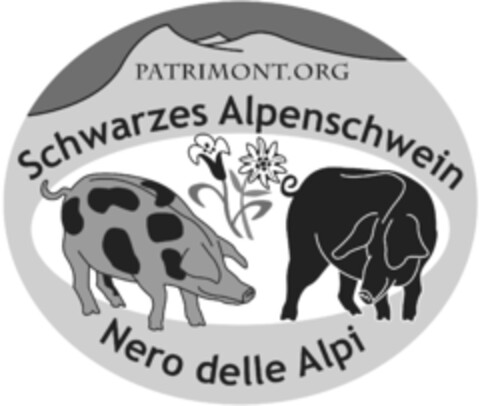 PATRIMONT.ORG Schwarzes Alpenschwein Nero delle Alpi Logo (EUIPO, 08.12.2017)