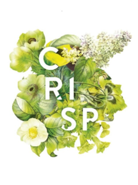 CRISP Logo (EUIPO, 13.11.2020)