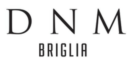 DNM BRIGLIA Logo (EUIPO, 12.01.2023)