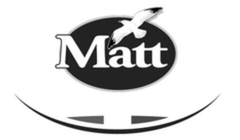 Matt Logo (EUIPO, 06/15/2023)