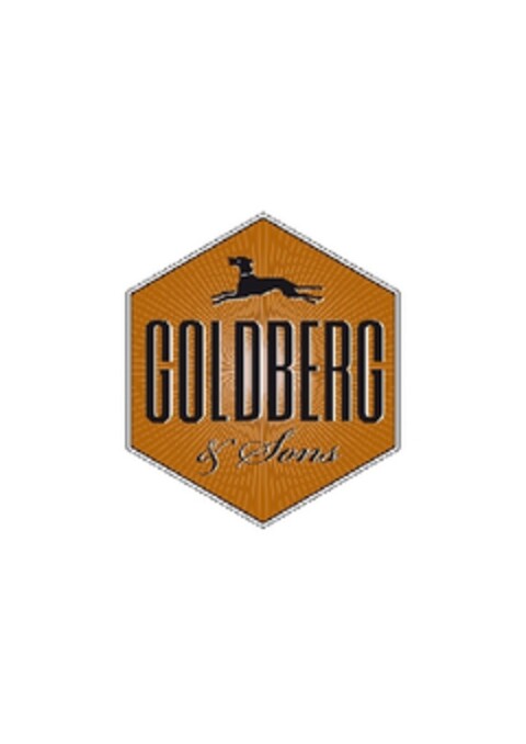 GOLDBERG & SONS Logo (EUIPO, 13.02.2013)
