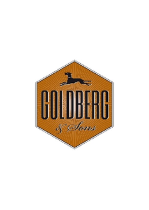 GOLDBERG & SONS Logo (EUIPO, 02/13/2013)