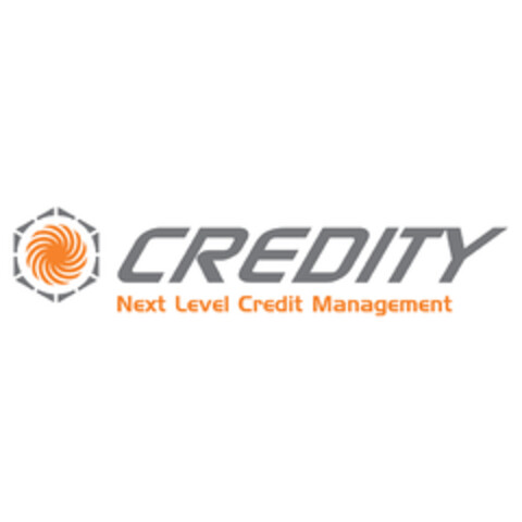 CREDITY NEXT LEVEL CREDIT MANAGEMENT Logo (EUIPO, 13.11.2017)