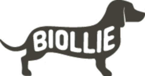 BIOLLIE Logo (EUIPO, 25.04.2019)