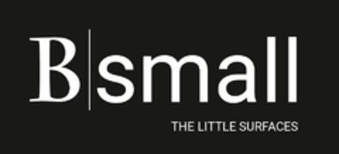 B-SMALL THE LITTLE SURFACES Logo (EUIPO, 06.08.2019)