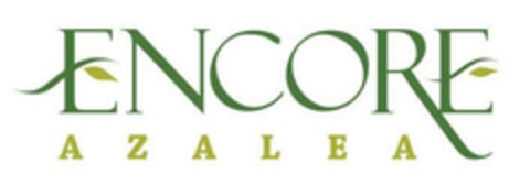 ENCORE AZALEA Logo (EUIPO, 01/03/2024)