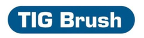 TIG Brush Logo (EUIPO, 13.02.2024)