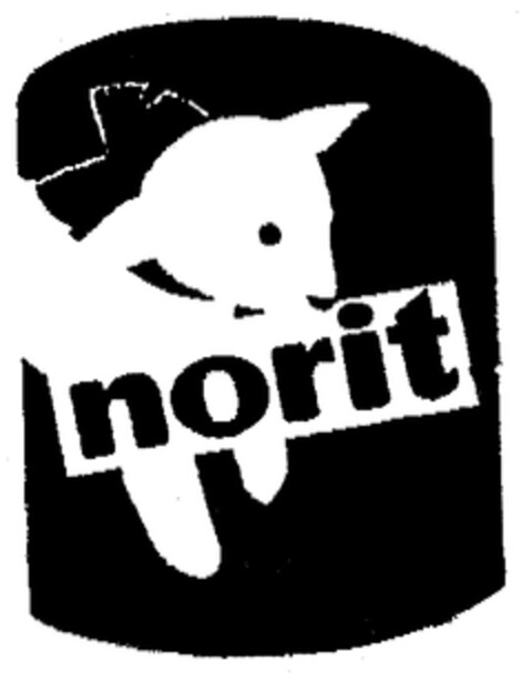 norit Logo (EUIPO, 12/05/1997)