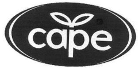 cape Logo (EUIPO, 16.03.2007)