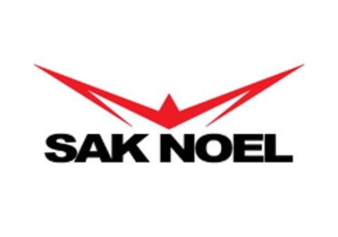 SAK NOEL Logo (EUIPO, 13.01.2012)