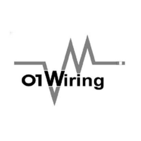 01WIRING Logo (EUIPO, 19.02.2013)