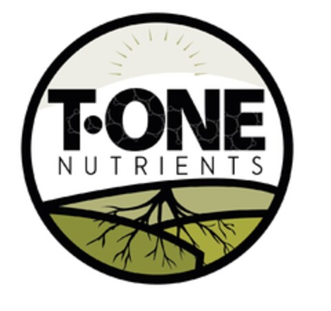 T-ONE NUTRIENTS Logo (EUIPO, 01.04.2019)