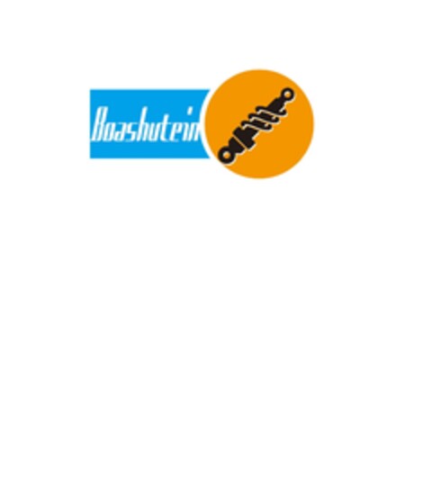 BOASHUTEIN Logo (EUIPO, 04.03.2019)