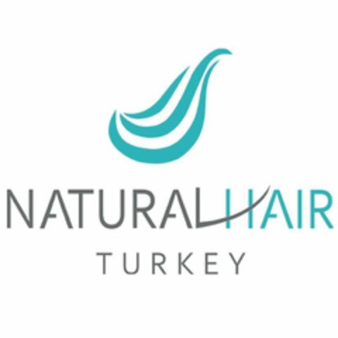 natural hair turkey Logo (EUIPO, 03.05.2019)